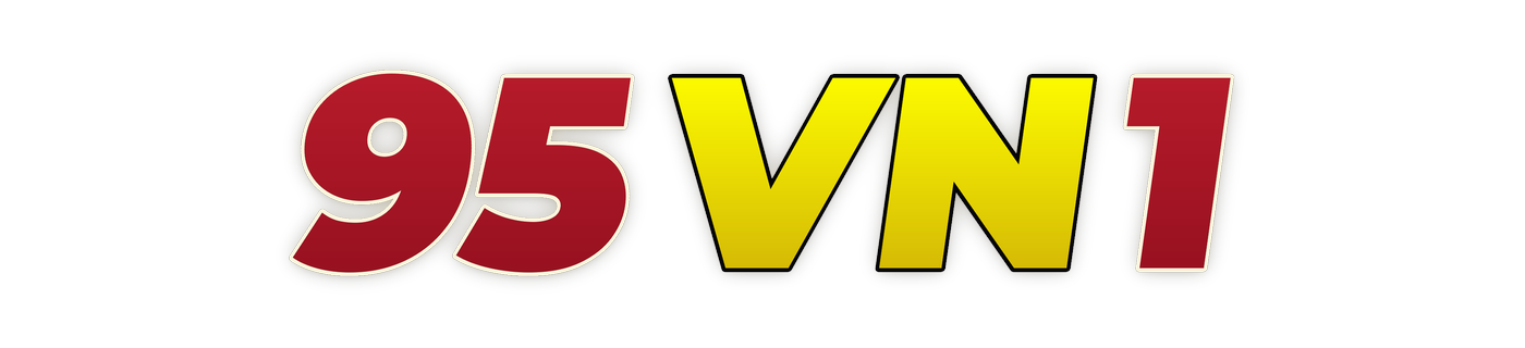 95vn1